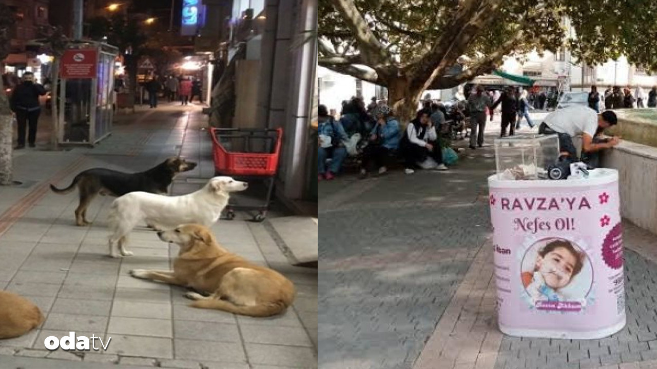 Valilikten peş peşe iki karar